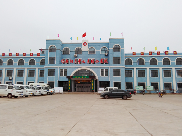 ���Қgӭ�|����������������t(y��)�Y(ji��)